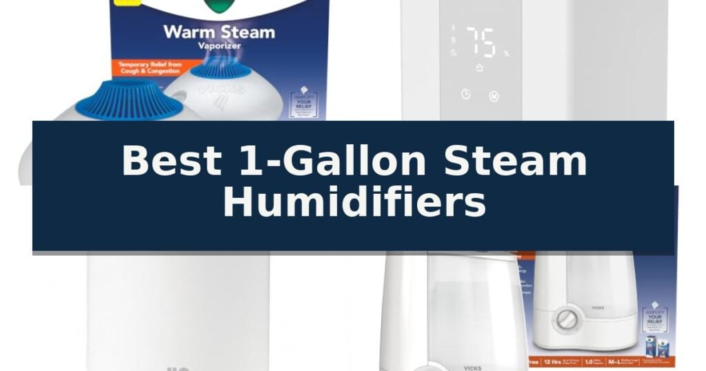 Best 1-Gallon Steam Humidifiers