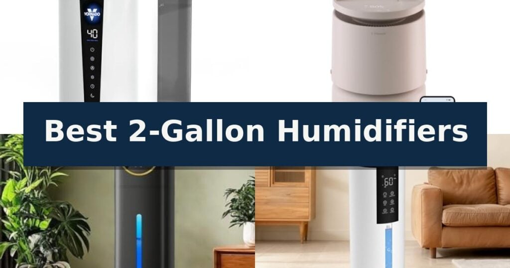 Best 2-Gallon Humidifiers