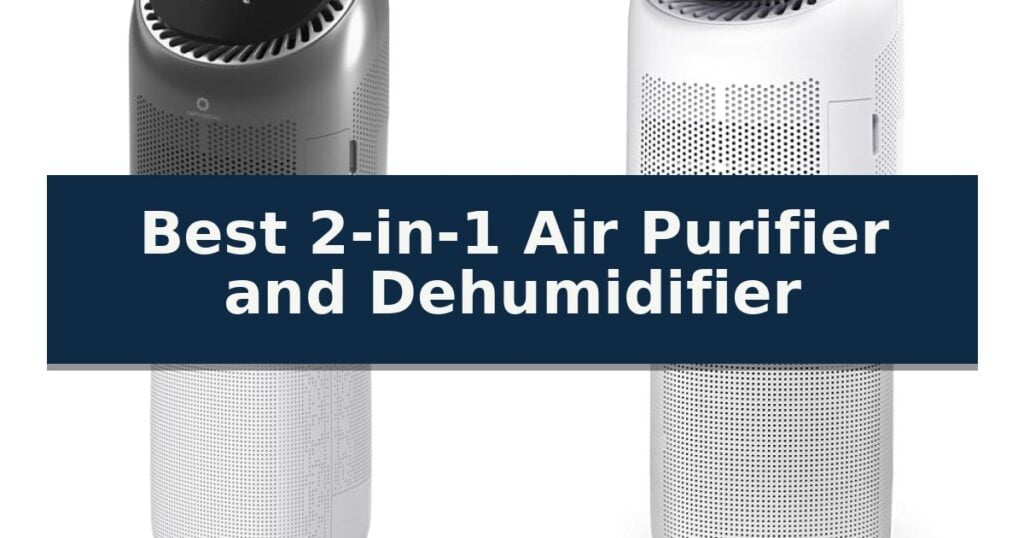 Best 2-in-1 Air Purifier and Dehumidifier