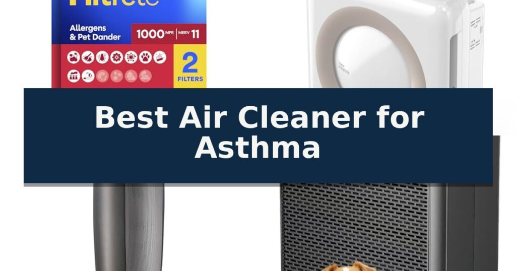 Best Air Cleaner for Asthma
