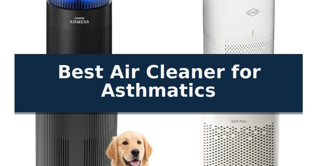 Best Air Cleaner for Asthmatics