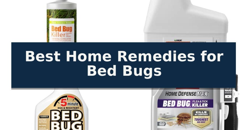 Best Home Remedies for Bed Bugs