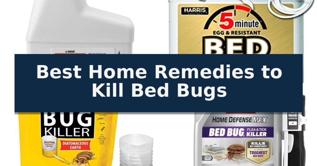 Best Home Remedies to Kill Bed Bugs