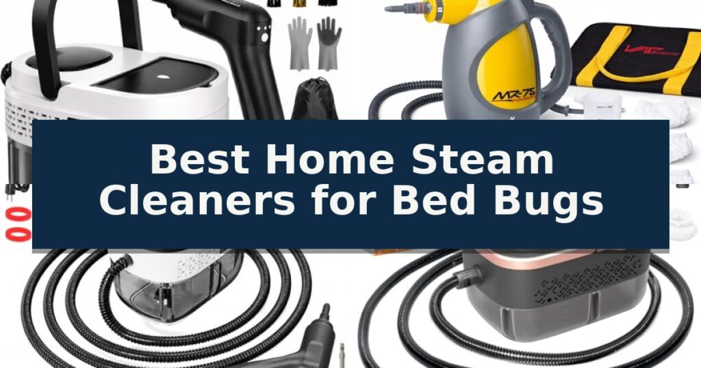 Best Home Steam Cleaners for Bed Bugs