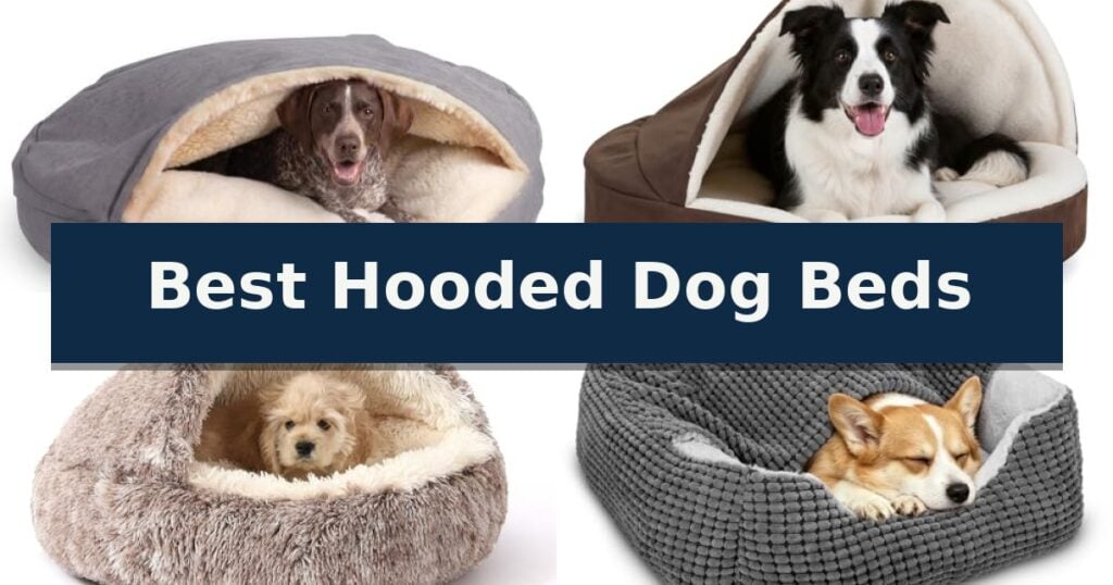 Best Hooded Dog Beds