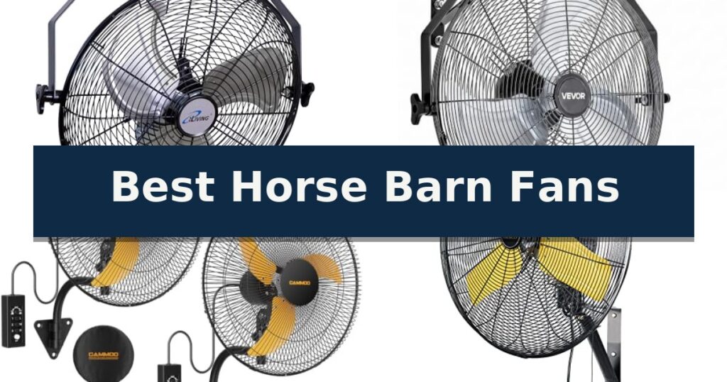 Best Horse Barn Fans