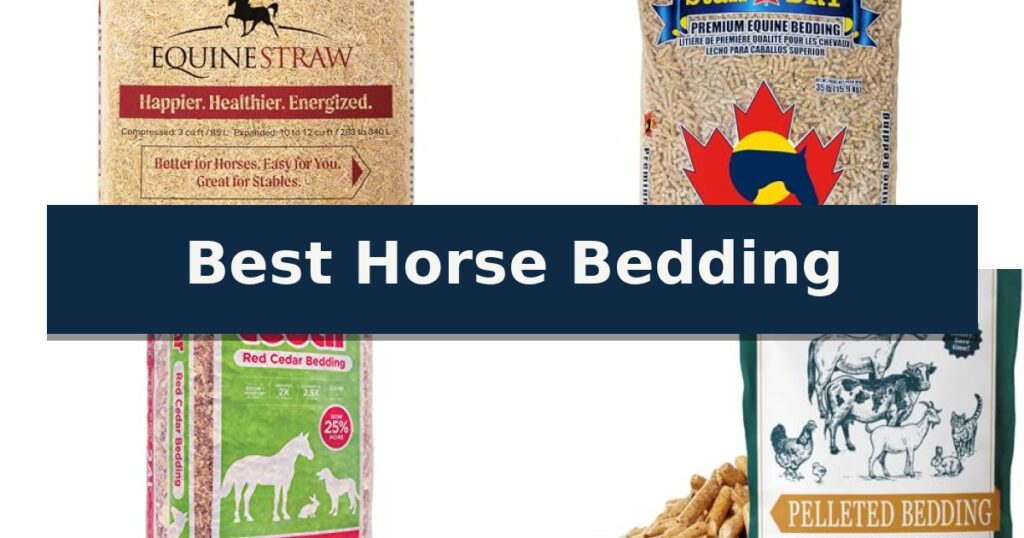 Best Horse Bedding