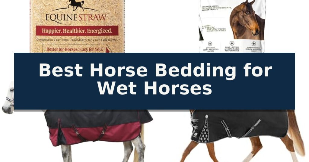 Best Horse Bedding for Wet Horses