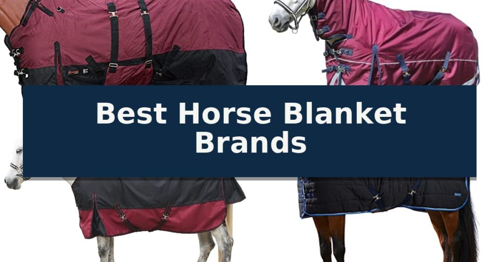 Best Horse Blanket Brands