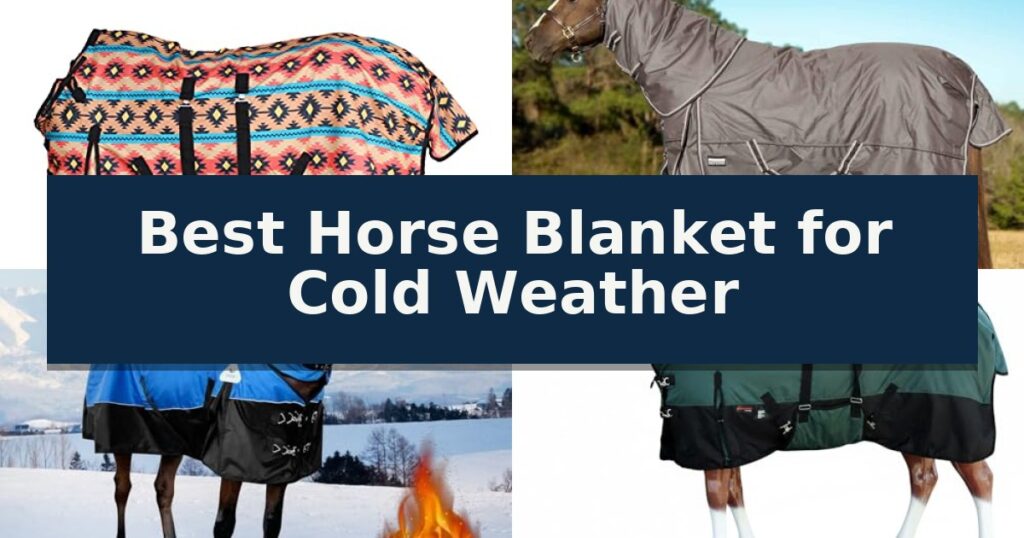 Best Horse Blanket for Cold Weather