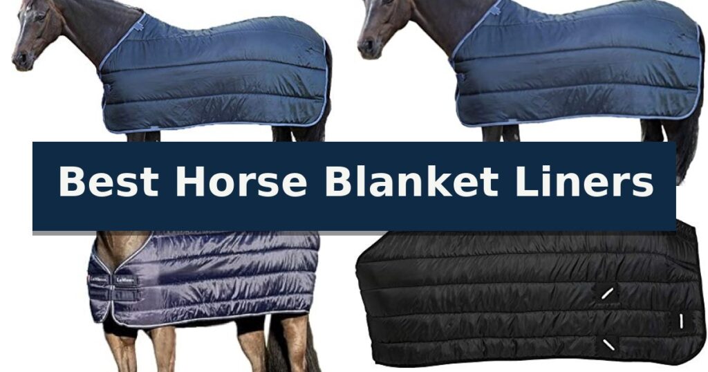 Best Horse Blanket Liners