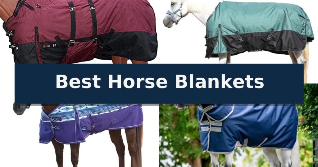 Best Horse Blankets