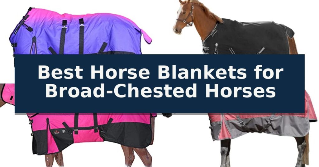 Best Horse Blankets for Broad-Chested Horses
