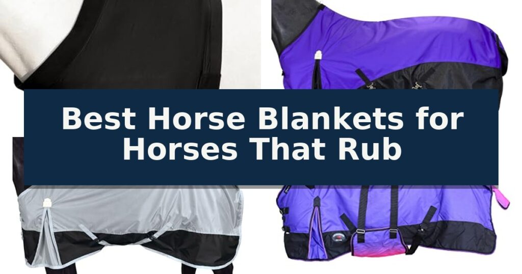 Best Horse Blankets for Horses That Rub