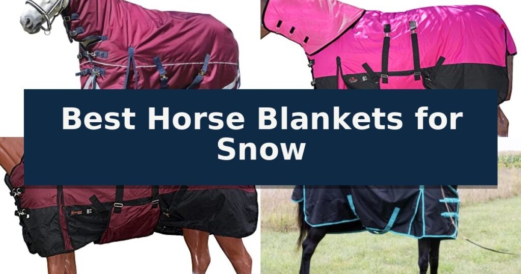 Best Horse Blankets for Snow