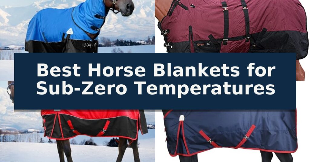Best Horse Blankets for Sub-Zero Temperatures