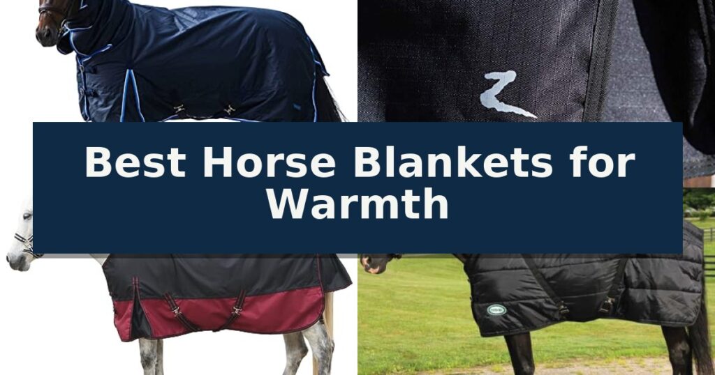 Best Horse Blankets for Warmth