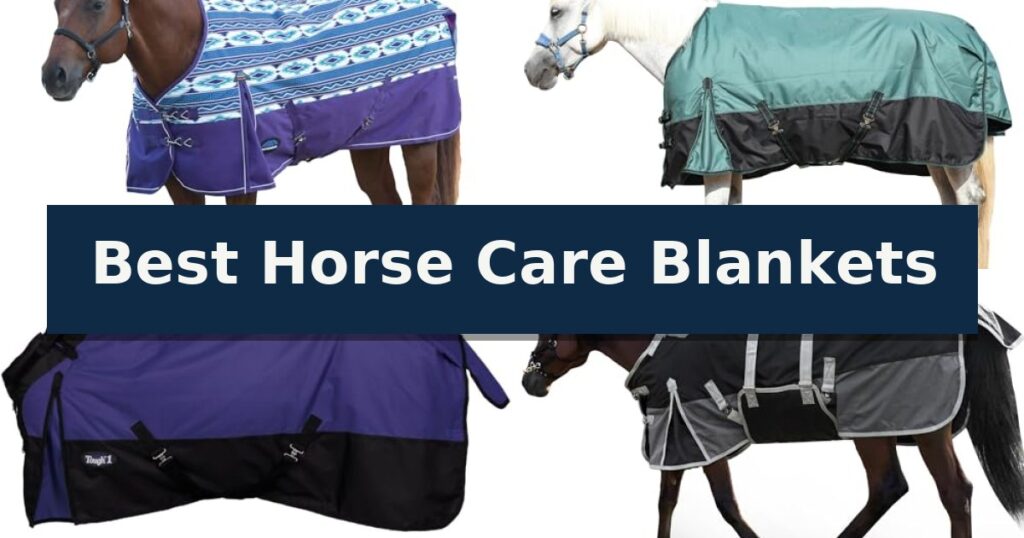 Best Horse Care Blankets