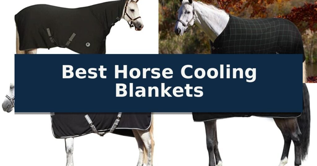 Best Horse Cooling Blankets