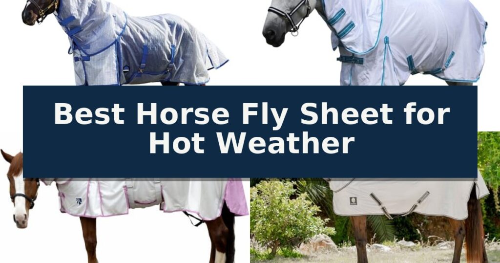Best Horse Fly Sheet for Hot Weather