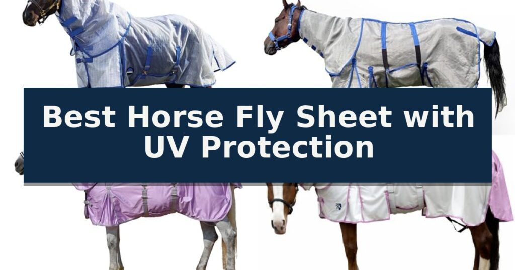Best Horse Fly Sheet with UV Protection