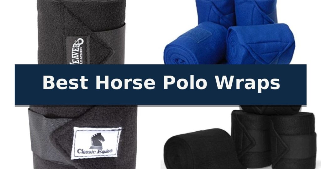 Best Horse Polo Wraps