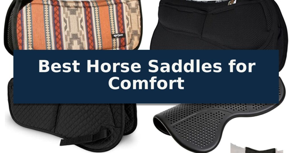 Best Horse Saddles for Comfort