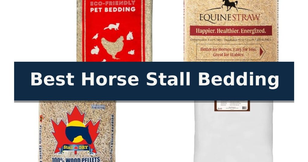Best Horse Stall Bedding
