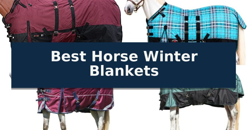 Best Horse Winter Blankets