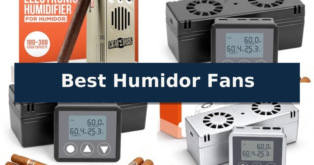 Best Humidor Fans