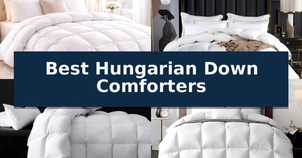 Best Hungarian Down Comforters