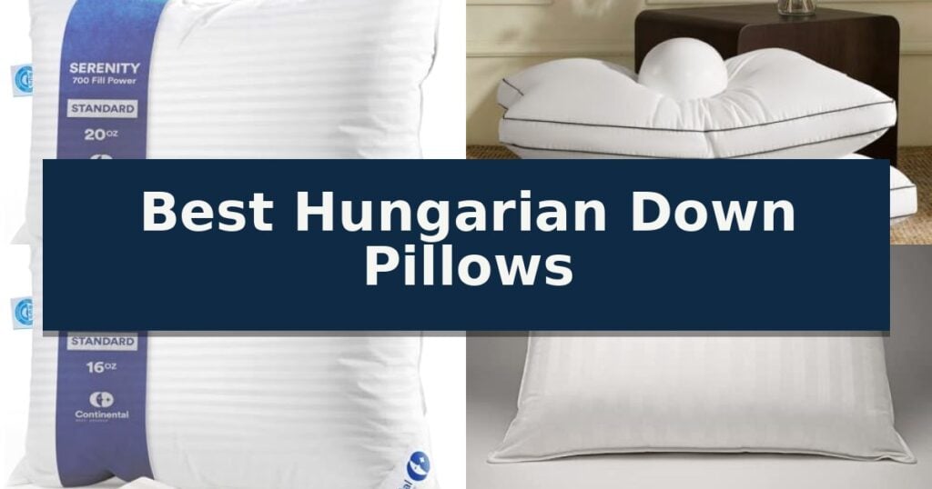 Best Hungarian Down Pillows