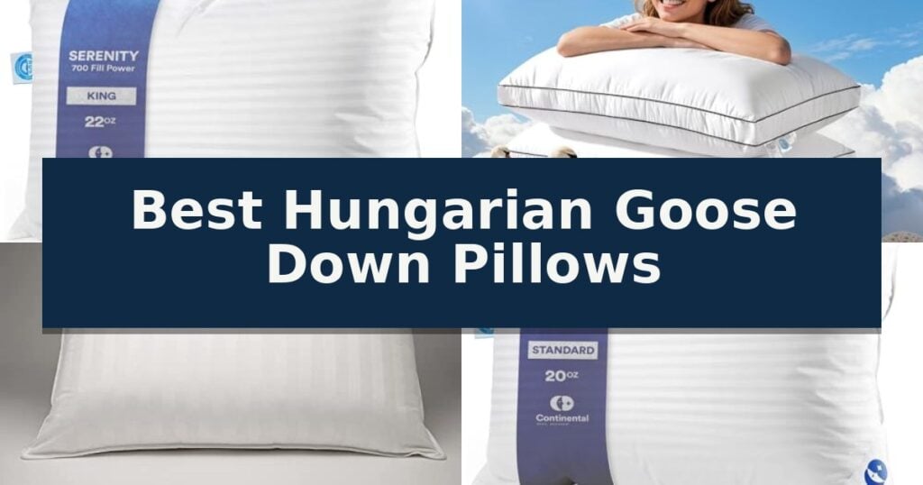 Best Hungarian Goose Down Pillows