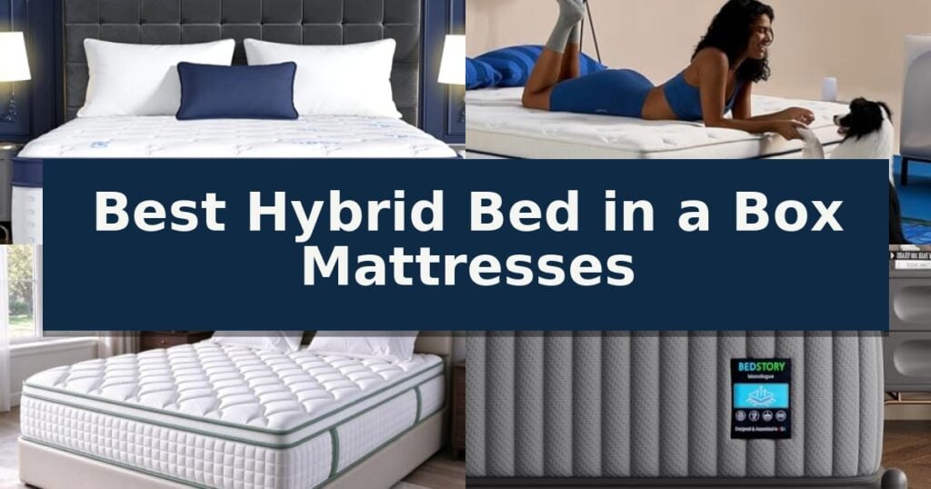 Best Hybrid Bed in a Box Mattresses