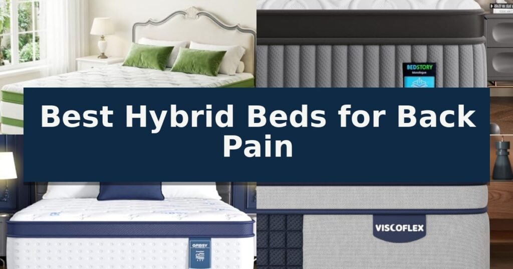 Best Hybrid Beds for Back Pain