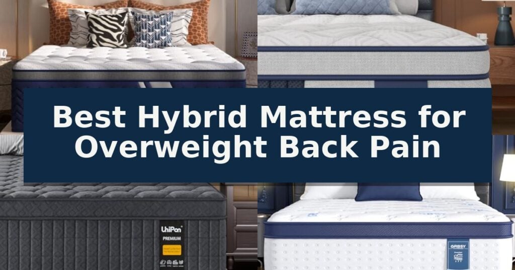 Best Hybrid Mattress for Overweight Back Pain