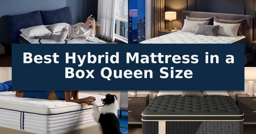 Best Hybrid Mattress in a Box Queen Size