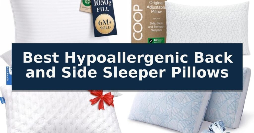 Best Hypoallergenic Back and Side Sleeper Pillows