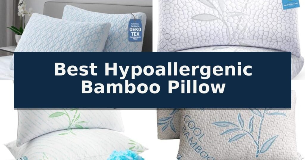 Best Hypoallergenic Bamboo Pillow