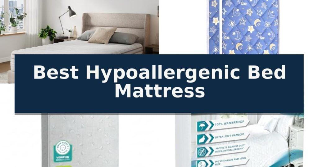Best Hypoallergenic Bed Mattress