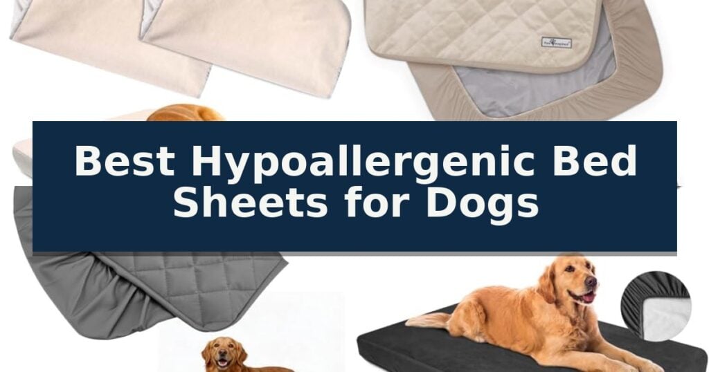 Best Hypoallergenic Bed Sheets for Dogs