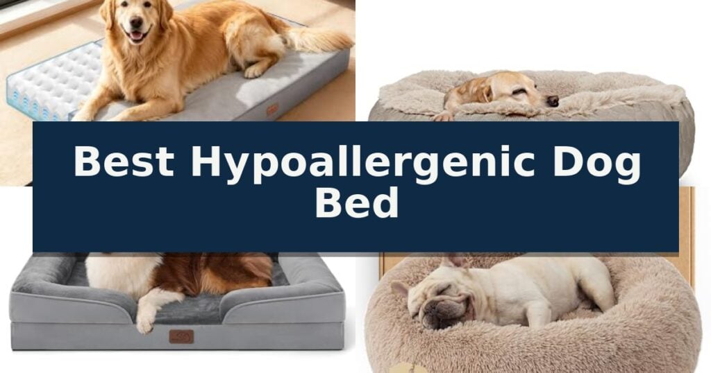 Best Hypoallergenic Dog Bed