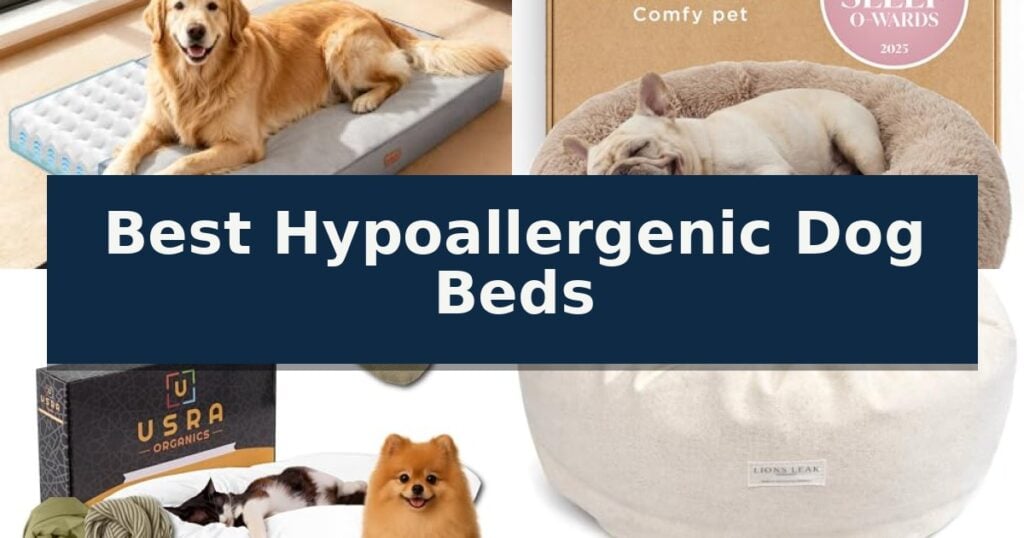 Best Hypoallergenic Dog Beds