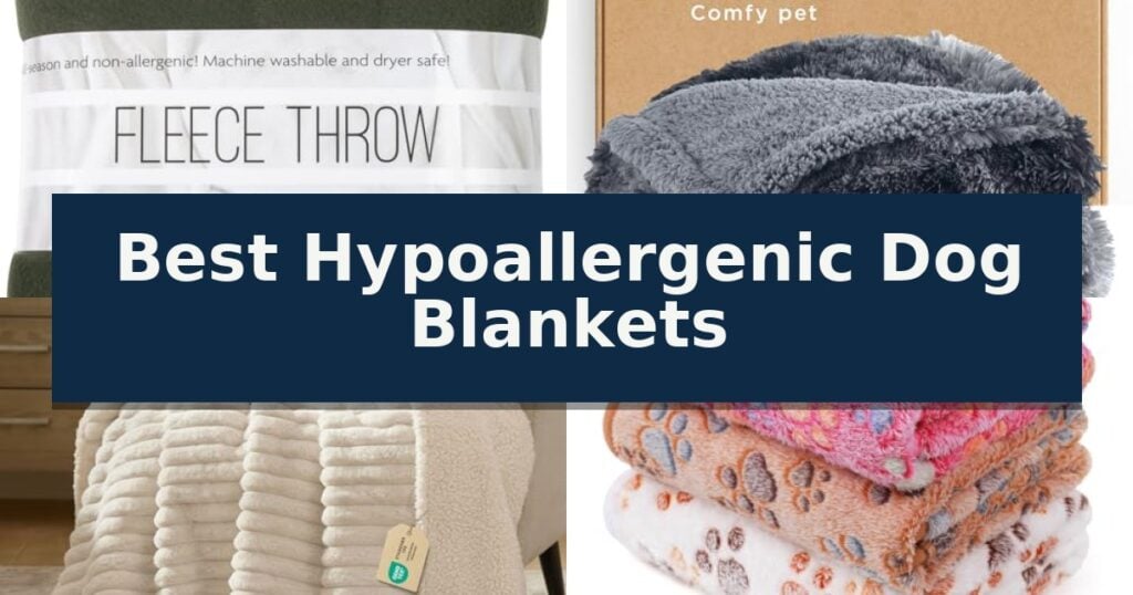 Best Hypoallergenic Dog Blankets