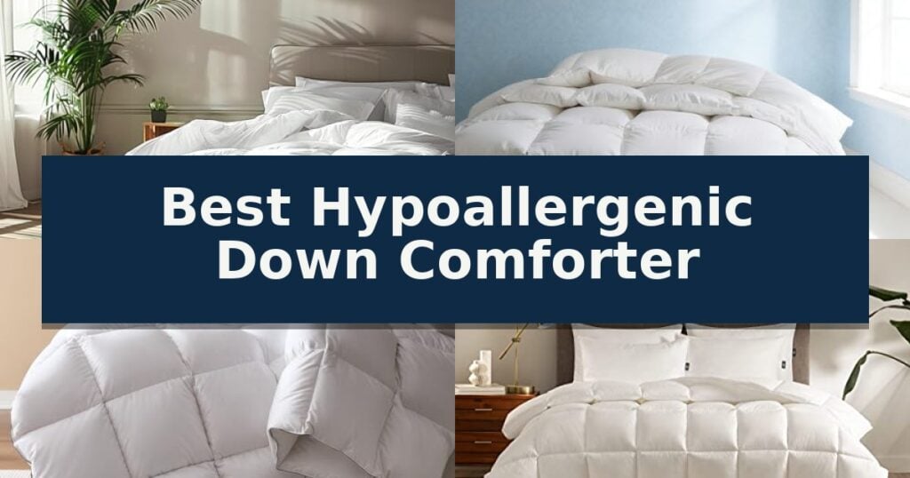 Best Hypoallergenic Down Comforter