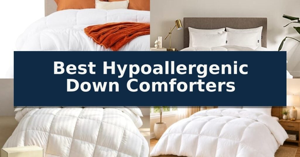 Best Hypoallergenic Down Comforters