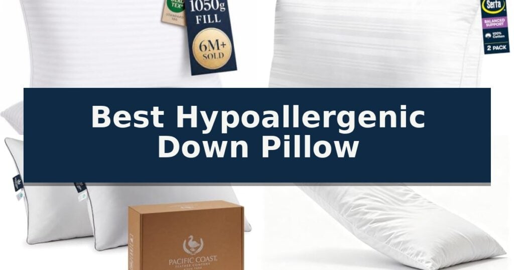 Best Hypoallergenic Down Pillow