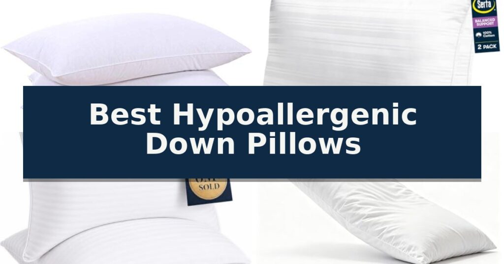 Best Hypoallergenic Down Pillows