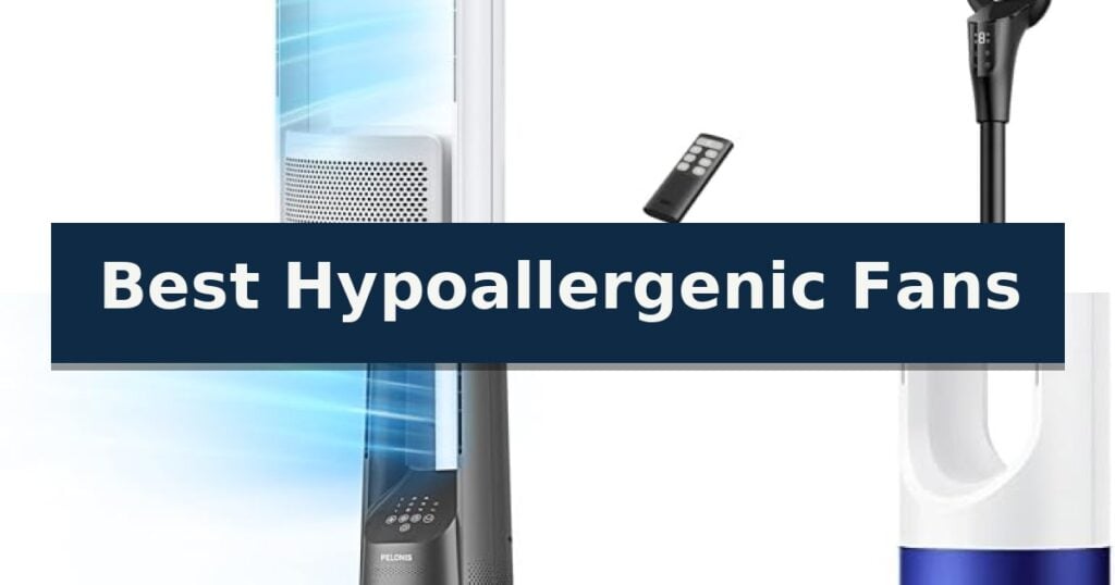 Best Hypoallergenic Fans