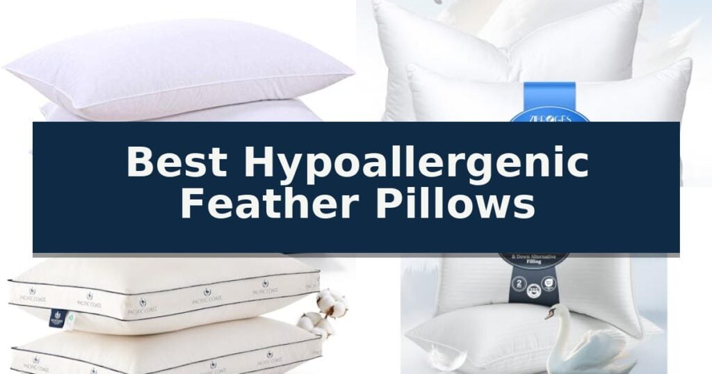 Best Hypoallergenic Feather Pillows